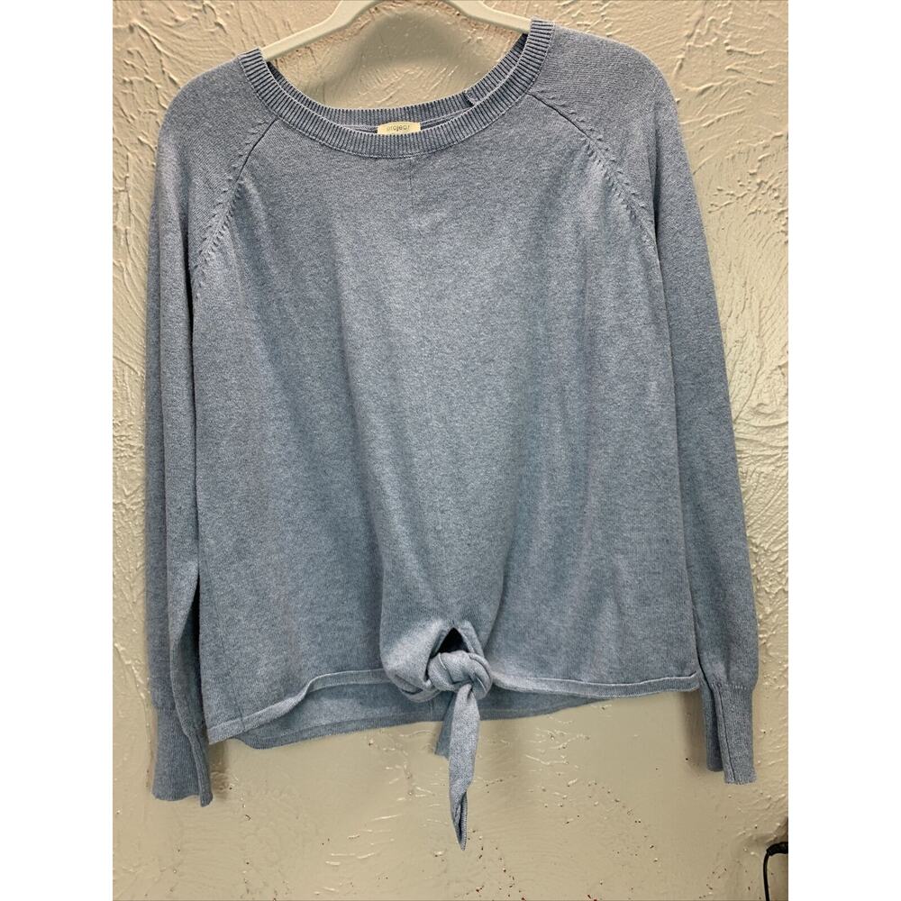 Project Sweater Womens Sweater Blue Tie Waist Raglan Sleeve Size Medium